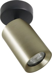 Zuma Line TORE TLS006-GLD Spotlámpa 1x35W/GU10 IP20