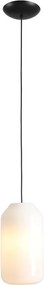 Aldex FLASK ORCHID M 8500G1_M Függőlámpa 1x15W/E27
