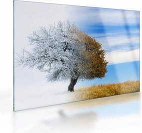 Kép - Évszakváltás (üvegen) (70x50 cm)