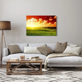 Nyári rét képe (90x60 cm)