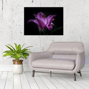 A liliom képe
 (üvegen) (70x50 cm)