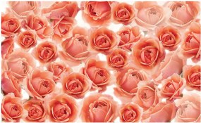 Fotótapéta rózsa virágok fotótapéta 208 x 146