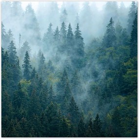 Poszterek 30x30 Erdő a ködben Utazás