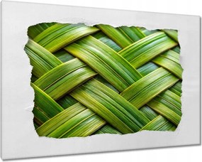Vászonkép 90x60 Zöld fonott Zöld rattan fonott lemez