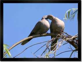 Poszterek keretben 40x30 Szerelem Érzés Párkapcsolat