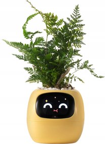 Intelligens virágtartó Ivy Smart Planter fedő virágtartóhoz Sárga Tuya