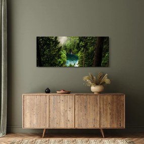 Kép - kilátás a fák között (120x50 cm)