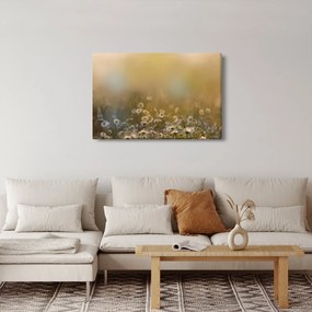 Kép - százszorszép olajfestmény (90x60 cm)