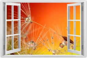 Poszterek 90x60 Pitypang Virág Virágok