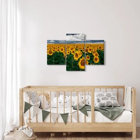 Napraforgó mező képe (90x60 cm)
