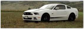 Fotótapéta flizelina 312x104 fehér Ford Mustang
