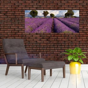 Kép - Levendula mező és hegyek (120x50 cm)