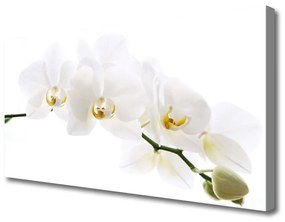 Vászonkép orchidea virágok 140x70 cm