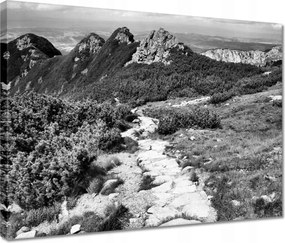 Vászonkép 40x30 Tátra Lengyel hegyek Kilátás