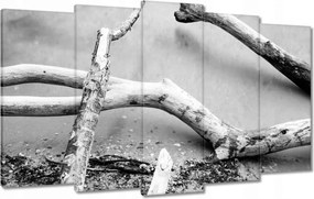 Vászonkép 100x60 Gyökerek Tengerpart