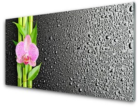 Akrilkép Bamboo Stem Flower Plant 120x60 cm 2 fogas