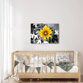 Sárga virágok képe (70x50 cm)