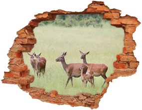 Fali matrica lyuk a falban Deer fiatal nd-c-84087864