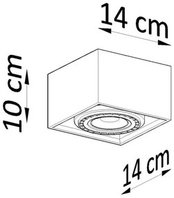 Sollux SL.0915 - Mennyezeti lámpa QUATRO AR111 1xGU10/40W/230V bükkfa