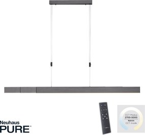 Paul Neuhaus modern függeszték pure-moto szürke pln2525-15