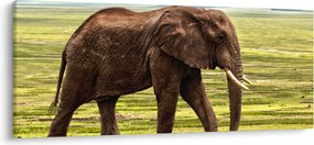 Egy elefánt képe (120x50 cm)