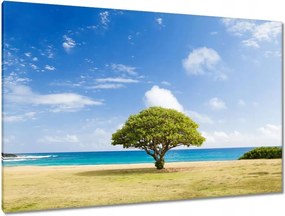 Festmények 120x80 Tájkép fával