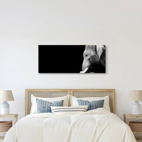 Kép - Elefánt (120x50 cm)