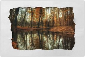 Poszterek 120x80 Őszi táj Tájkép