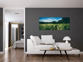 Rét és az erdő képe (120x50 cm)