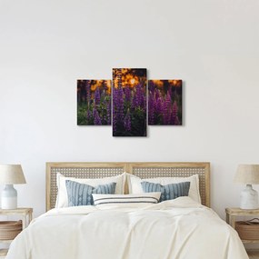 Egy csillagfürt virág képe (90x60 cm)