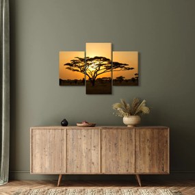 Kép - afrikai szavanna (90x60 cm)