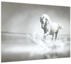 Kép - Fehér ló (70x50 cm)
