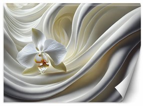 Fotótapéta, Fehér orchidea - 450x315