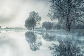 Téli természet képe (90x60 cm)