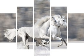 Kép - Fehér lovak télen (150x105 cm)