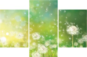 Kép - Virágozatlan pitypang (90x60 cm)