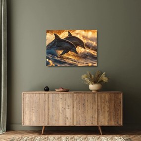 Üveg kép - Delfinek (70x50 cm)