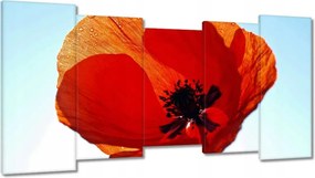 Vászonkép 150x80 Pipacs Virágok