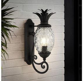 Hinkley HK-PLANTATION-M-MB - Fali lámpa PLANTATION 1xE27/40W/230V fekete