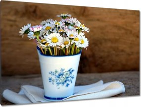 Festmények 120x80 Reggeli margaréták