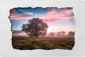 Poszterek 60x40 Candy tájkép Köd