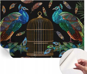 Öntapadós fotótapéta Hálószoba Páva kép 152x104 cm