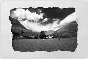 Poszterek 90x60 Bárányok a réten