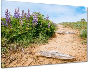 Vászonkép 100x70 Lépcsők Virágok Rét