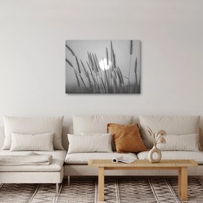 Kép - Mező naplementében (70x50 cm)