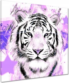 Vászonkép 50x50 Tigris lila
