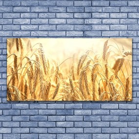 Fali üvegkép Kalászokat mező természetét 100x50 cm