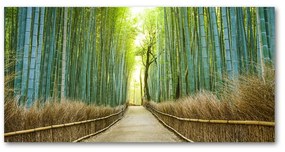 Akril üveg kép Bambusz erdő oah-72519653