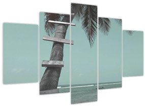 Kép - Palma a Karib-tengeren (150x105 cm)