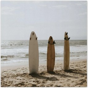 Poszterek 100x100 Szörfdeszkák bézs